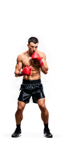 striking combat sports,bodybuilding supplement,boxing equipment,professional boxing,shoot boxing,kickboxing,combat sport,mohammed ali,lethwei,boxing,boxing glove,professional boxer,boxing gloves,strongman,mma,muay thai,jeet kune do,punching bag,sanshou,mixed martial arts,Conceptual Art,Oil color,Oil Color 13