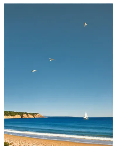 Seaside scenery, vast ocean, blue waves, sandy beach, rocky shore, clear sky, fluffy white clouds, sailboat in distance, seagulls flying overhead, warm sunlight, soft focus, 3/4 composition, shallow d