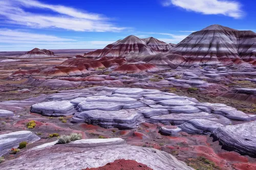 329 megapixels! A very high resolution american landscape photograph; VAST photo created by Phil Crawshay in Petrified Forest National Park, Arizona,volcanic landscape,virtual landscape,the atacama de