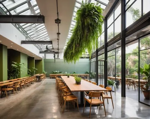 wintergarden,packinghouse,greenhaus,atriums,winter garden,juice plant,roof garden,foodplant,lunchroom,hanging plants,gensler,cafeteria,conservancy,glasshouse,canteen,herbarium,gulbenkian,daylighting,cafeterias,fernery,Conceptual Art,Fantasy,Fantasy 21