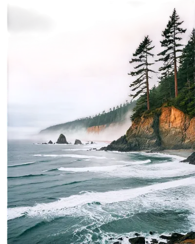 raincoast,heceta,pacific coastline,olympic peninsula,buccinum,esalen,ruby beach,coastal landscape,cliff coast,tillamook,cliffs ocean,clallam,pacific coast highway,coastline,vancouver island,oregon,seacliff,beach landscape,coastlines,cliffside,Conceptual Art,Daily,Daily 20