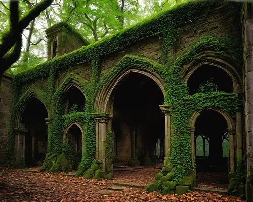 forest chapel,mausoleum ruins,abandoned place,cloister,ruins,abandoned places,cloisters,hall of the fallen,dandelion hall,moss landscape,ruin,orangery,mausoleums,abandoned building,monastery,nunery,rivendell,crypts,witch's house,crown engine houses,Illustration,Realistic Fantasy,Realistic Fantasy 18