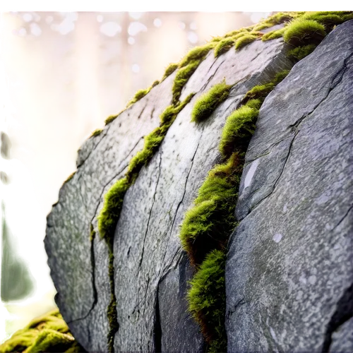 stone background,japanese garden ornament,moss landscape,green wallpaper,moss,mossy,carved stone,druid stone,xylem,pandorica,bomarzo,greenschist,millstones,rock weathering,megaliths,ornamental stones,bryophyte,wudang,tree moss,megalithic,Conceptual Art,Fantasy,Fantasy 11