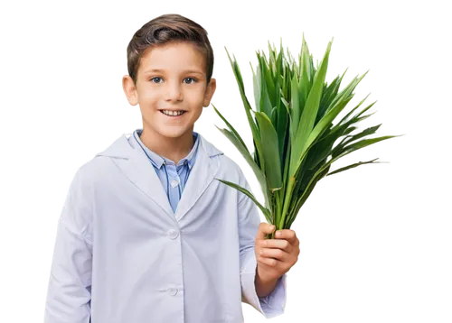 wheat germ grass,plant pathology,sweet grass plant,alfalfa,flowers png,spring onion,panicle,celery plant,plant stem,herbaceous plant,homeopathically,culinary herbs,crop plant,vascular plant,rank plant,aromatic plant,pesticide,sansevieria,wheat grass,florist gayfeather,Photography,Documentary Photography,Documentary Photography 01