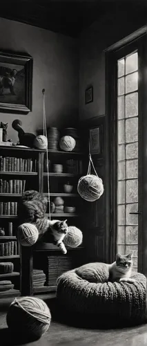 saucer,lampshades,ufo interior,assay office in bannack,the living room of a photographer,stieglitz,reading room,bookshelves,bannack assay office,study room,a dark room,doll's house,interiors,children's room,ceiling lamp,doll house,scenography,spiral staircase,japanese-style room,flying saucer,Photography,Black and white photography,Black and White Photography 11