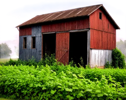 garden shed,old barn,field barn,shed,sheds,barn,farm hut,farmstead,red barn,barns,farm house,rustic,wooden hut,straw hut,wooden house,organic farm,quilt barn,farm background,farm yard,boat shed,Conceptual Art,Daily,Daily 26