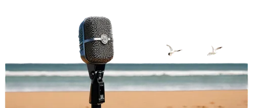 Microphone, recording studio, solo, abstract background, gentle breeze, soft whispering sound, waves crashing, seagulls crying, beach atmosphere, warm sunlight, natural ambiance, 3/4 composition, shal