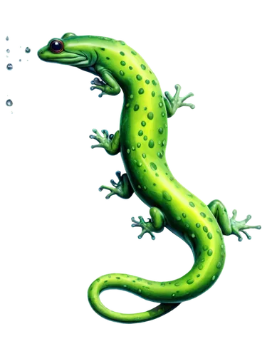 salamander,malagasy taggecko,spring salamander,mole salamander,lungless salamander,climbing salamander,woodland salamander,emerald lizard,missisipi aligator,gecko,iguanidae,eleutherodactylus,salamandra,green lizard,day gecko,true salamanders and newts,hyssopus,side-blotched lizards,cretoxyrhina,aligator,Illustration,Black and White,Black and White 35