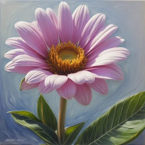 african daisy,south african daisy,pink chrysanthemum,dahlia pink,osteospermum,barberton daisy,shasta daisy,flower painting,purple chrysanthemum,gerbera,anemone purple floral,violet chrysanthemum,gerbera flower,perennial daisy,european michaelmas daisy,china aster,swamp rose mallow,gazania,african daisies,purple daisy