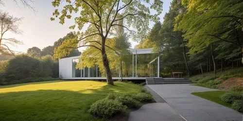 glucksman,forest chapel,forest house,camosun,uvic,landscaped,bunshaft,mirror house,shawnigan,botanischer,phototherapeutics,house in the forest,landscape designers sydney,beyeler,modern house,ubc,summer house,overlake,weyerhaeuser,tugendhat,Photography,General,Realistic