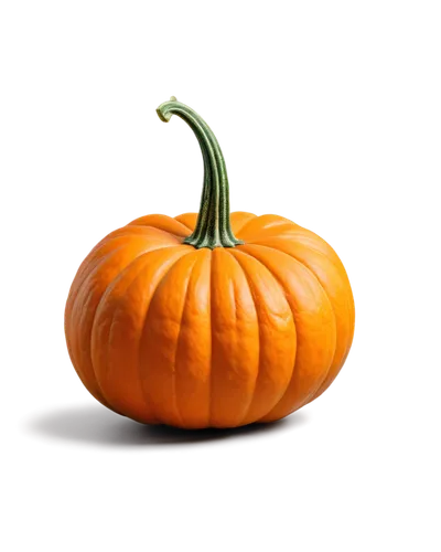 calabaza,candy pumpkin,cucurbita,halloween pumpkin,halloween pumpkin gifts,decorative pumpkins,pumpkin,cucurbit,pumkin,scarlet gourd,hokkaido pumpkin,gourd,gem squash,pumpkin lantern,funny pumpkins,pumkins,winter squash,pumpkin autumn,cucuzza squash,jack-o'-lantern,Conceptual Art,Fantasy,Fantasy 22