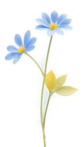 flowers png,minimalist flowers,wood daisy background,mountain bluets,blue daisies,alpine forget-me-not,forget-me-nots,forget-me-not,flower illustrative,flower illustration,blue flower,windflower,flower background,forget me nots,blue flowers,blue petals,stitchwort,myosotis,illustration of the flowers,dayflower,Art,Artistic Painting,Artistic Painting 44