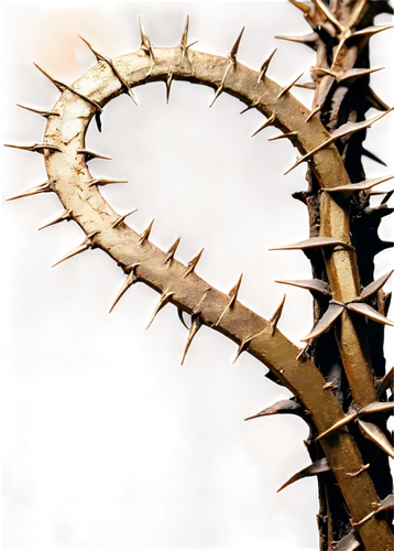 crown of thorns,crown-of-thorns,thorny,thorns  spines  and prickles,antler,thorns,old wooden wheel,wood skeleton,spines,cogwheel,wooden wheel,saw blade,spiny,thorn,devil's walkingstick,semi circle arch,armillary sphere,buck antlers,deer antler,spikes,Conceptual Art,Graffiti Art,Graffiti Art 09