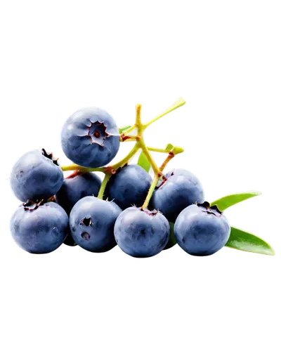 Fresh blueberries, juicy pulp, sweet aroma, small round shape, plump texture, vibrant blue skin, green calyx, stem attached, morning dew, soft natural light, macro shot, extreme close-up, shallow dept