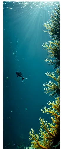 underwater background,freediving,freediver,diving fins,underwater landscape,sea life underwater,ocean underwater,wyland,ocean background,sailfish,underwater world,marine life,whitetip,dolphin background,posidonia,lembeh,undersea,deep ocean,shoal,under water,Illustration,Abstract Fantasy,Abstract Fantasy 04