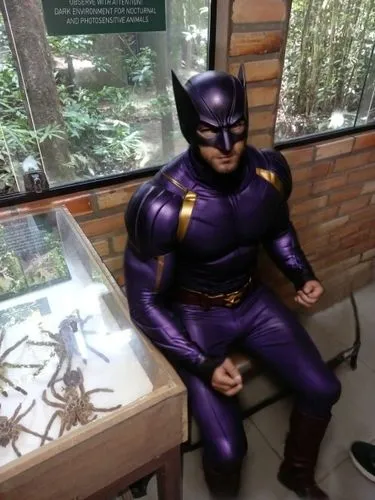 a museum exhibit,wolverine,crime fighting,a wax dummy,doctor fish,marvel figurine,action figure,wax figures museum,comic hero,artist's mannequin,marvel comics,actionfigure,costa rican colon,magneto-optical drive,magneto-optical disk,entomology,3d man,batman,man on a bench,3d figure