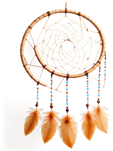 feather jewelry,dream catcher,dreamcatcher,teardrop beads,moonstones,seedpods,hawk feather,peacock feathers,beadwork,adornments,feather headdress,jewelry florets,indian headdress,flying seeds,navajo,luminous garland,pendentives,beading,rainbeads,adornment,Conceptual Art,Fantasy,Fantasy 06