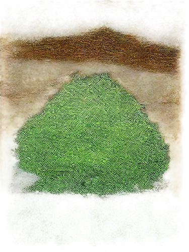 azolla,tumulus,moss landscape,grono,block of grass,poa,grassman,mound,golf course background,mound of dirt,stone background,topographer,an island far away landscape,ant hill,mountain stone edge,compost,tetraploid,saltpan,dung,virunga,Illustration,Vector,Vector 21