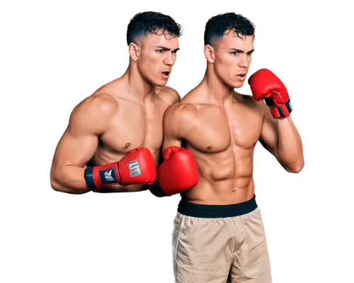 striking combat sports,bodybuilding supplement,marine corps martial arts program,kickboxing,combat sport,boxing equipment,mixed martial arts,boxing gloves,lethwei,professional boxing,muay thai,shoot boxing,pair of dumbbells,boxing,professional boxer,jeet kune do,kickboxer,savate,boxers,mma,Conceptual Art,Fantasy,Fantasy 13