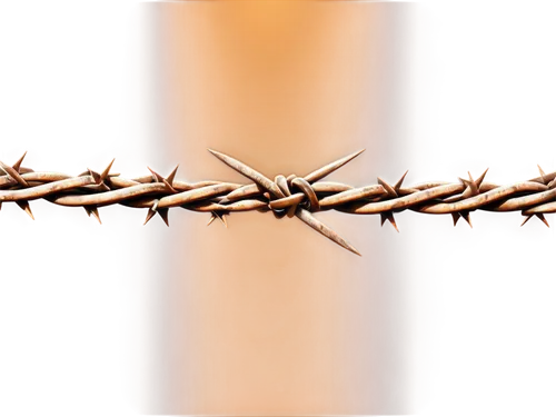 crown of thorns,barbed wire,ribbon barbed wire,crossed,jesus cross,way of the cross,crown-of-thorns,jesus christ and the cross,barb wire,calvary,barbwire,the cross,persecution,the crucifixion,barbed,jesus on the cross,christ star,crosses,cross,menorah,Photography,Artistic Photography,Artistic Photography 15