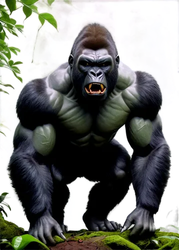 Gorilla, angry face, loud roar, sharp teeth, furrowed eyebrows, powerful muscles, green jungle background, misty atmosphere, foggy lighting, 3D realistic texture, cinematic composition, shallow depth 