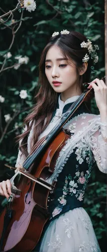 violin woman,violinist,woman playing violin,cello,violinist violinist,violin,violin player,hanbok,solo violinist,playing the violin,traditional korean musical instruments,harp with flowers,violist,stringed instrument,folk music,string instrument,musician,bass violin,bowed string instrument,woman playing,Photography,Artistic Photography,Artistic Photography 12