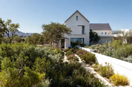 dunes house,landscape designers sydney,landscape design sydney,ruhl house,roof landscape,californian white oak,garden elevation,residential house,saltbush,smart house,dune ridge,perennial plants,lands