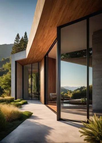 corten steel,dunes house,bohlin,amanresorts,siza,modern architecture,archidaily,modern house,timber house,mid century house,passivhaus,neutra,snohetta,revit,lefay,prefab,vivienda,cambium,cantilevers,oticon,Art,Artistic Painting,Artistic Painting 29