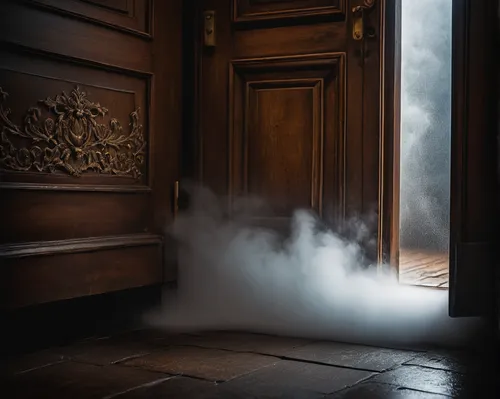 abstract smoke,the threshold of the house,creepy doorway,emission fog,steam machine,in the door,cloud of smoke,open door,smoke bomb,smoke,door to hell,steamy,armoire,smoke and mirrors,smoke art,the door,industrial smoke,smoke background,vaporizing,the smoke,Photography,General,Fantasy