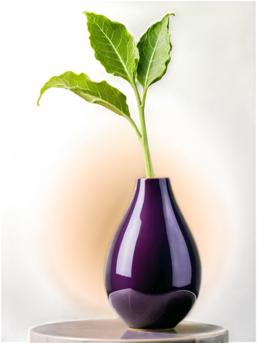 balsamic vinegar,grape seed extract,eggplant,brinjal,basil total,nightshade plant,balsamita,fragrance teapot,egg plant,isolated product image,stevia,thai basil,oil-related plant,grape seed oil,decanter,kohlrabi,eggplants,aromatic herbs,tanacetum balsamita,naturopathy,Illustration,Black and White,Black and White 32