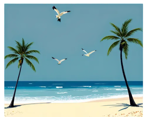 coconut trees,tropical birds,beach landscape,watercolor palm trees,sea birds,bird island,tropical beach,beach background,silver gulls,beach scenery,dream beach,tropical sea,sea gulls,palm tree vector,coconut palms,flying sea gulls,palm trees,summer beach umbrellas,coconut tree,palmtrees,Illustration,Retro,Retro 15