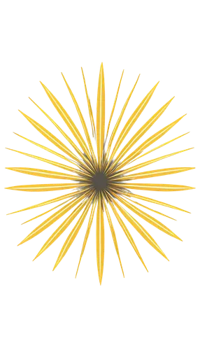 solar plexus chakra,christ star,gold spangle,sunburst background,circular star shield,hawkbit,vatican city flag,sunstar,abstract gold embossed,six-pointed star,crown chakra,moravian star,six pointed star,gold foil snowflake,lotus png,3-fold sun,gold foil crown,dharma wheel,ethereum logo,steelwool,Illustration,Abstract Fantasy,Abstract Fantasy 11
