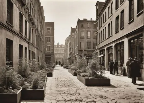 old linden alley,pedestrianized,herrengasse,streetscape,cheapside,rittenhouse,the cobbled streets,carreau,thoroughfares,sidestreets,nolita,streetscapes,brownstones,eastcheap,new york streets,laclede,walkability,cobblestoned,tribeca,rue,Photography,Black and white photography,Black and White Photography 15