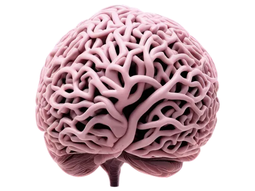 cerebrum,brain icon,neurodegenerative,human brain,cerebellum,brainlab,encephalopathy,brain structure,neuroplasticity,neurite,encephalopathies,amygdala,neurodegeneration,cerebrovascular,cortical,thalamocortical,neurobiological,neurocranium,neurogenesis,neocortex,Illustration,Black and White,Black and White 01