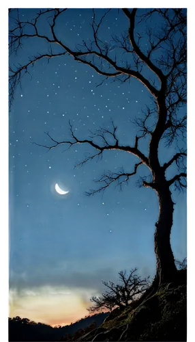 moon and star background,crescent moon,earthshine,starry sky,photo painting,moonlit night,constellation lyre,night scene,night sky,moon and star,waxing crescent,nightsky,night stars,moonlighted,nightfall,starry night,nightscape,night star,hanging moon,stars and moon,Illustration,Japanese style,Japanese Style 17