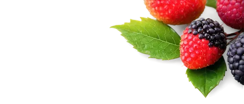 Colorful fruit, solo, frontal view, macro shot, detailed texture, juicy flesh, vibrant skin, stem attached, leaves surrounding, morning dew, soft natural light, 3/4 composition, shallow depth of field