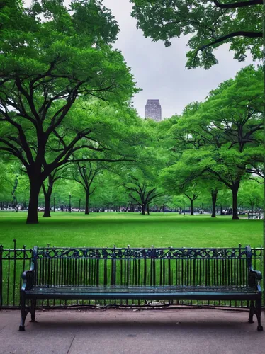 green trees,green space,park bench,central park,green lawn,tree lined,tree-lined avenue,green landscape,green tree,park akanda,green trees with water,row of trees,green grass,benches,green wallpaper,green summer,green garden,green forest,urban park,nara park,Photography,Fashion Photography,Fashion Photography 10