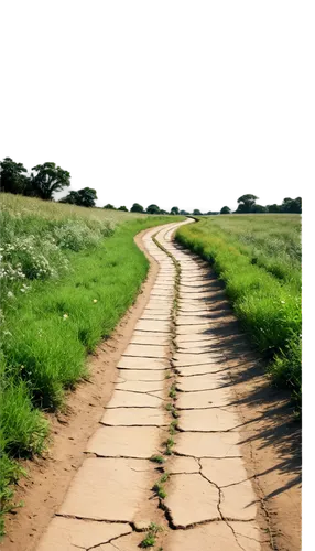 online path travel,pathway,footpath,the path,dirt road,path,dry grass,hiking path,singletrack,road surface,sand road,the way,tire track,trail,the mystical path,the dry season,ecological footprint,arid landscape,soil erosion,long road,Art,Artistic Painting,Artistic Painting 30