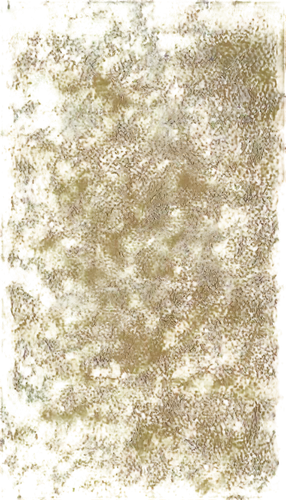 yellow wallpaper,kngwarreye,abstract gold embossed,seamless texture,sunflower lace background,degenerative,yellow gneiss,marpat,forsythia,brown mold,lemon pattern,larch discoloration,sunflower paper,oilpaper,sackcloth textured background,tree texture,xanthophylls,blossom gold foil,dried cassia,gleditsia,Unique,Design,Knolling