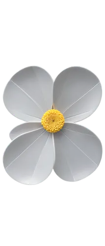 camomile flower,camomile,flowers png,minimalist flowers,lotus png,marguerite daisy,chamomile,tanacetum balsamita,arable widow flower,oxeye daisy,paper flower background,anemone japonica,white cosmos,crown chakra flower,water lily plate,magnolia,windflower,marguerite,fried egg flower,ceiling-fan,Illustration,Vector,Vector 12