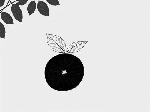 apple logo,epple,apple design,appletree,apple frame,apple monogram,Design Sketch,Design Sketch,Rough Outline