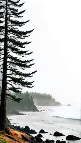 Oregon landscape, misty morning, tall pine trees, rugged coastline, rocky shores, crashing waves, sea spray, misty atmosphere, soft natural light, panoramic view, cinematic composition, warm color ton