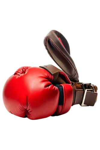 boxing equipment,boxing glove,boxing gloves,striking combat sports,professional boxing,combat sport,boxing,shoot boxing,punching bag,boxing ring,kickboxing,professional boxer,the hand of the boxer,muay thai,sanshou,knockout punch,boxer,lethwei,football glove,sports equipment,Illustration,Vector,Vector 15