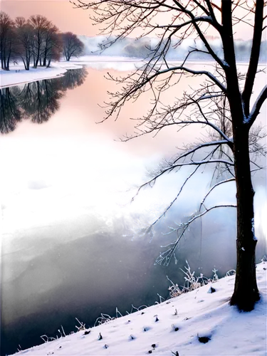 winter landscape,winter lake,snow landscape,snowy landscape,frozen lake,winter background,ice landscape,winter dream,wintry,winter magic,driftless,otonabee,winter morning,winterland,vinter,hiver,raven river,schuylkill,overwinter,river landscape,Unique,3D,Isometric