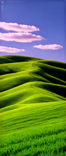 palouse,windows wallpaper,green fields,landscape background,rolling hills,green landscape,gras,grasslands,grassland,cropland,prairies,purple landscape,toscana,lavender field,virtual landscape,plains,flatlands,lavender fields,tuscan,green background,Photography,Documentary Photography,Documentary Photography 10