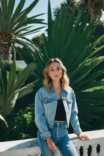 denim background,denim jacket,jeans background,denim,denim jumpsuit,jean jacket,denim jeans,lmu,chambray,pineapple background,losangeles,la,topanga,denim bow,denim shapes,kiernan,cali,kcrw,santamonica,sdsu,Photography,Documentary Photography,Documentary Photography 28