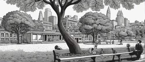 central park,riverside park,urban park,city scape,plane trees,center park,city buildings,concept art,city park,lafayette park,battery park,flatiron building,herman park,manhattan,marble collegiate,park bench,background image,champ de mars,castle park,brownstone,Illustration,Black and White,Black and White 18