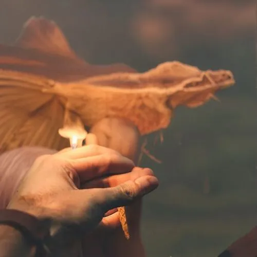 smaug,ghidorah,firedrake,skeksis,rodan,draco,tiktaalik,dralion,dove eating out of your hand,betta,dolarhyde,charizard,pteranodon,tywin,albino alligator,petyr,phoenixes,lorian,agamid,fire breathing dragon