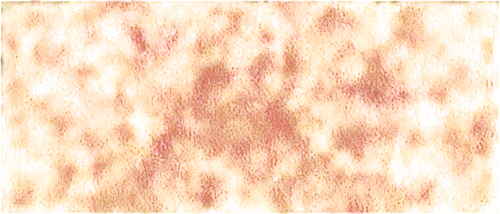 seamless texture,degenerative,generated,meditrust,petromatrix,kngwarreye,background pattern,lava,monolayer,polarizations,garrison,firedamp,figure 0,pyrophoric,transparent image,backgrounds texture,candy corn pattern,background texture,textured background,diplopia,Unique,3D,Low Poly