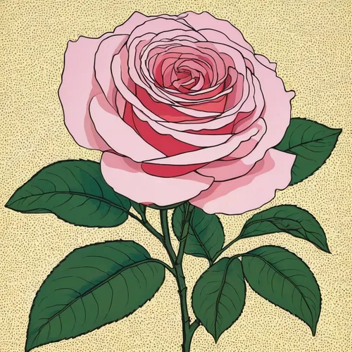 rose flower illustration,rose png,rose flower drawing,japan rose,lady banks' rose,lady banks' rose ,rose drawing,landscape rose,disney rose,culture rose,cream rose,corymb rose,rosa sericea,garden rose,rosa × centifolia,ground rose,arrow rose,rose bloom,pink rose,evergreen rose,Illustration,American Style,American Style 15